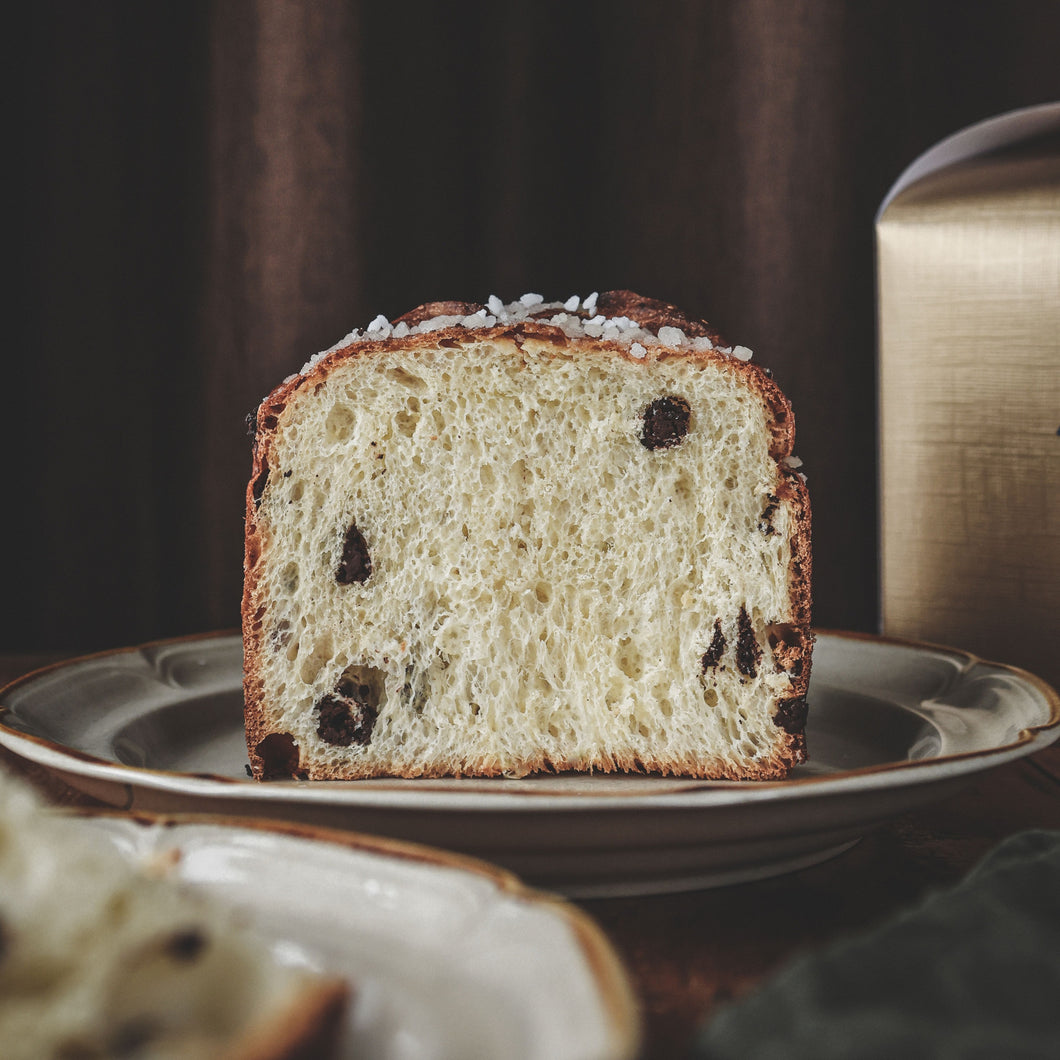 Chocolate Panettone