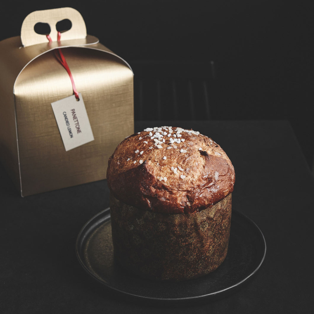 Lemon Panettone